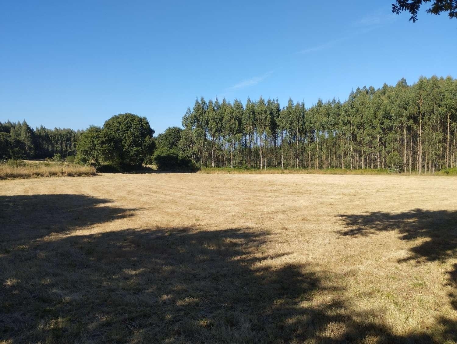  kaufen Grundstück Begonte Terra Chá 1