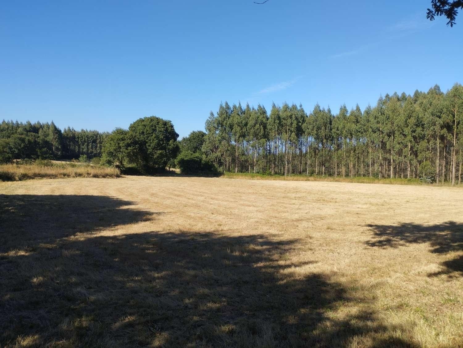  kaufen Grundstück Begonte Terra Chá 4