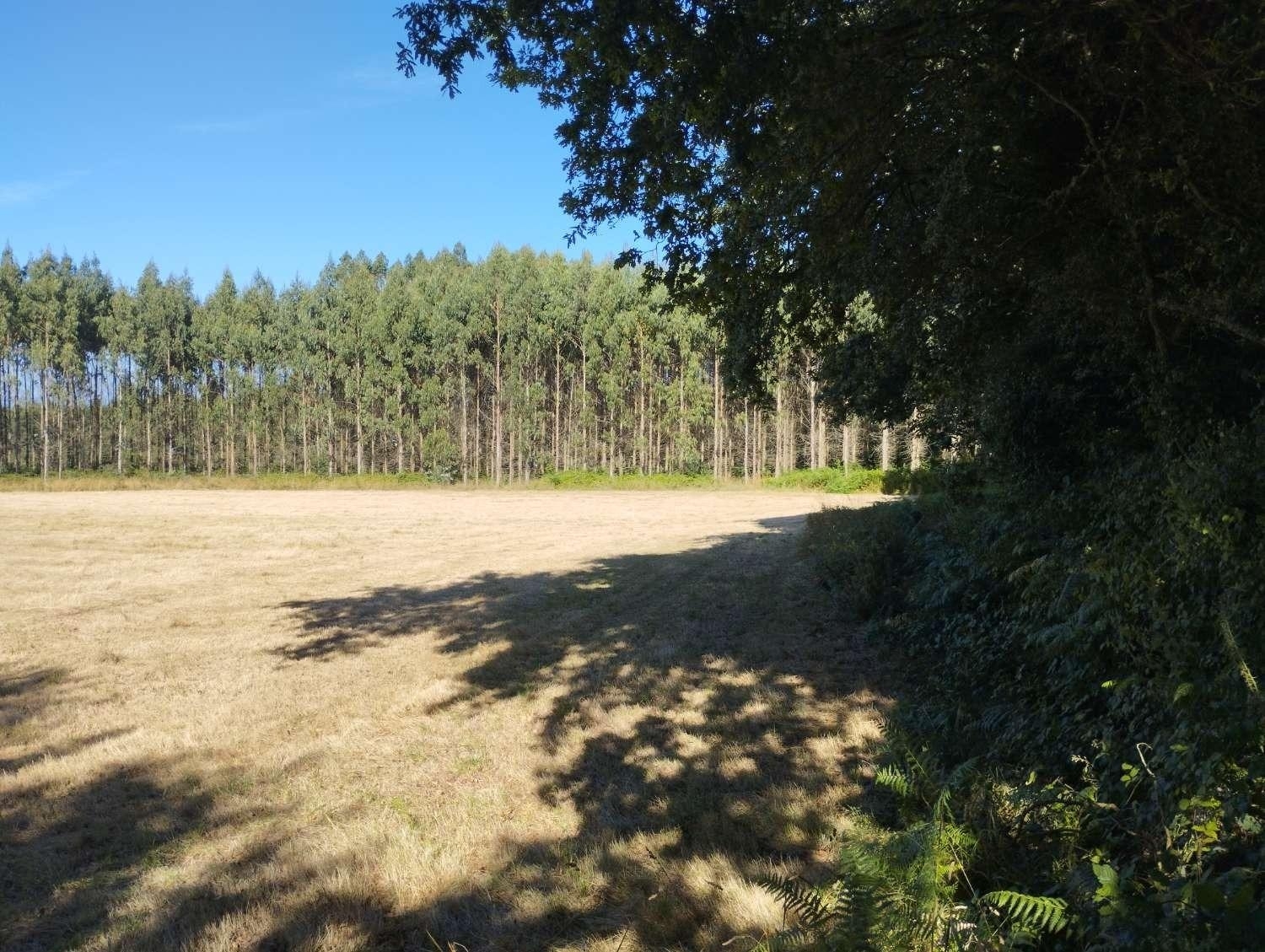  kaufen Grundstück Begonte Terra Chá 2