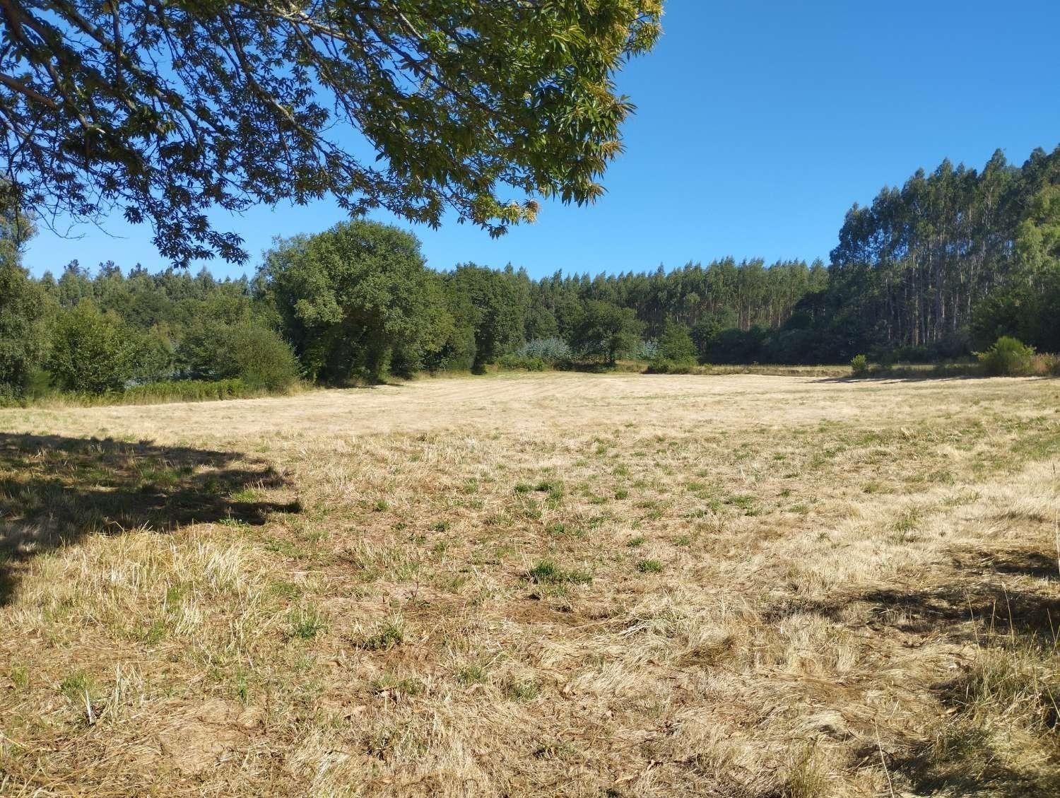  kaufen Grundstück Begonte Terra Chá 6