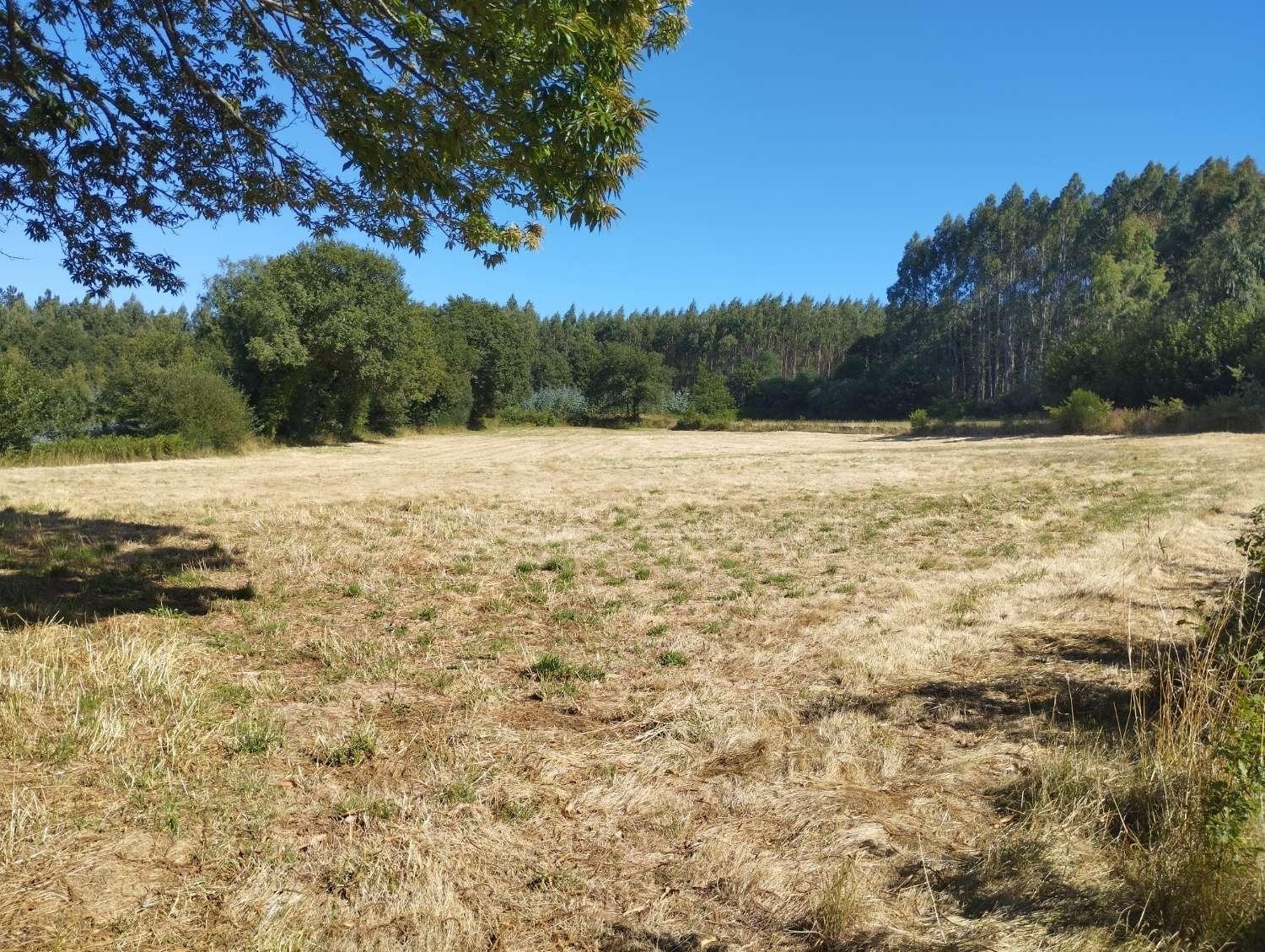  kaufen Grundstück Begonte Terra Chá 4