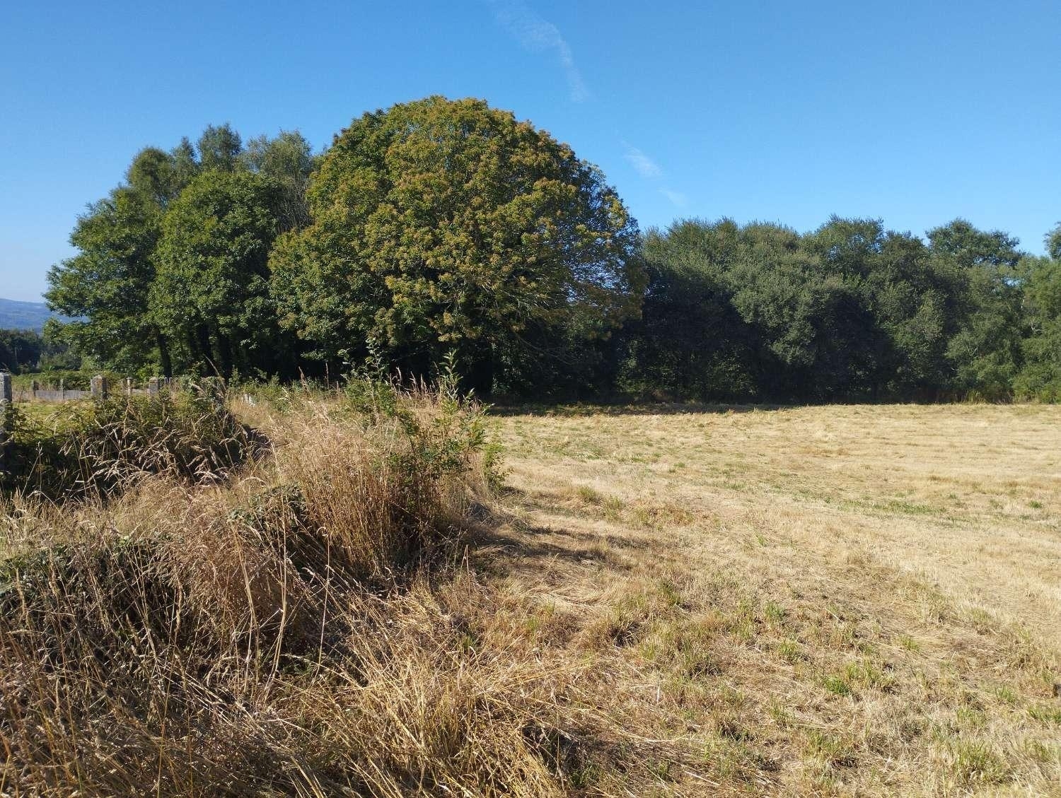  kaufen Grundstück Begonte Terra Chá 3