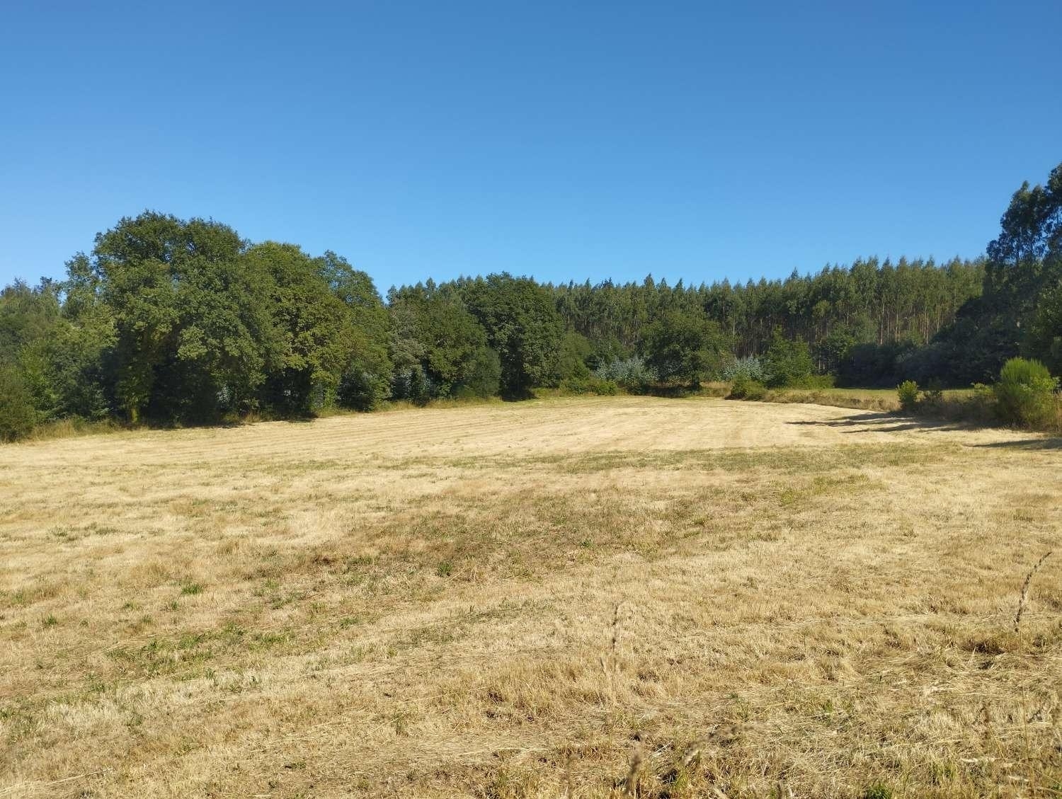  kaufen Grundstück Begonte Terra Chá 5