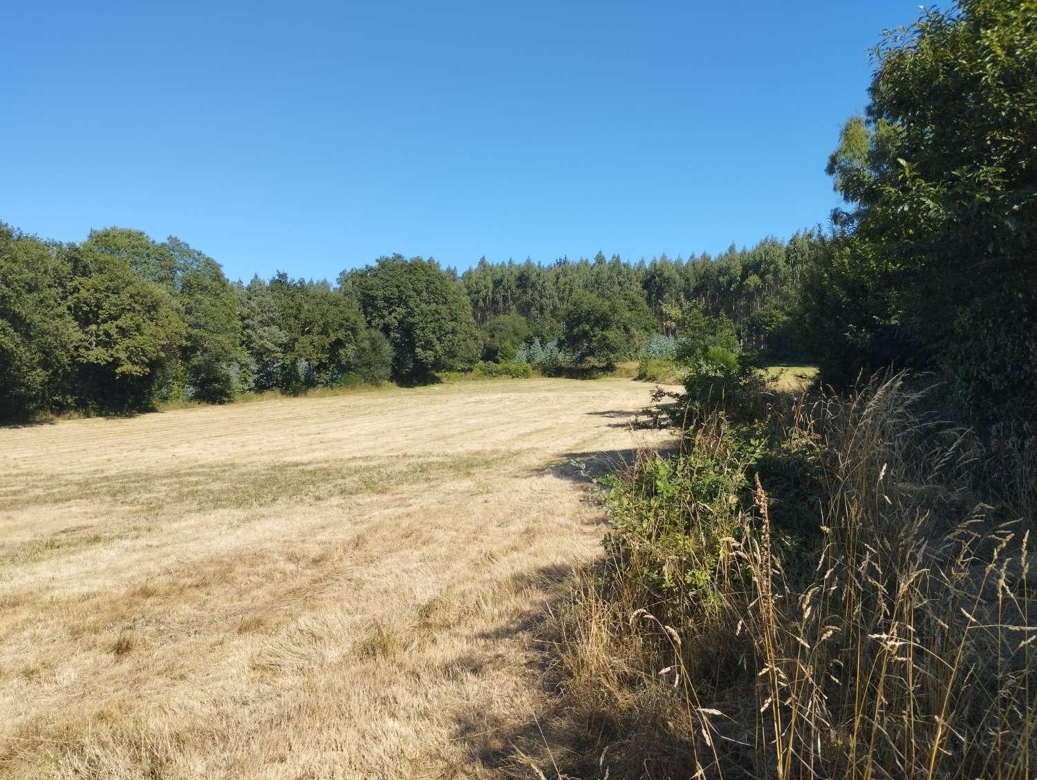  kaufen Grundstück Begonte Terra Chá 2