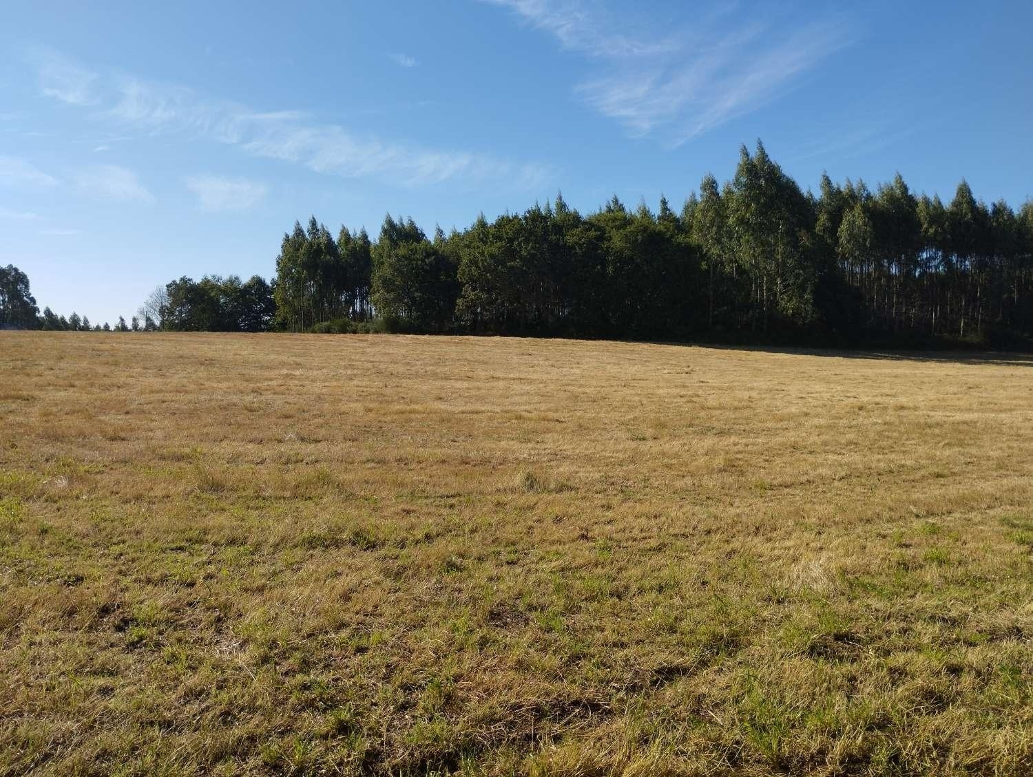  kaufen Grundstück Begonte Terra Chá 3