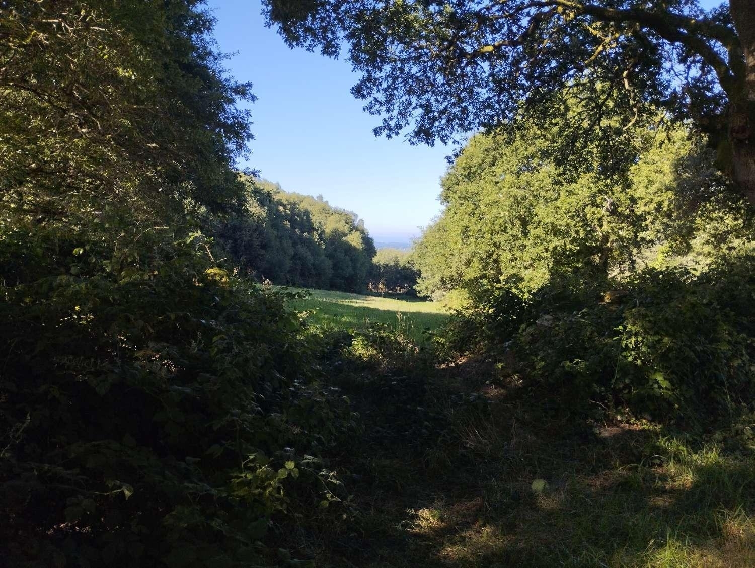  kaufen Grundstück Begonte Terra Chá 5