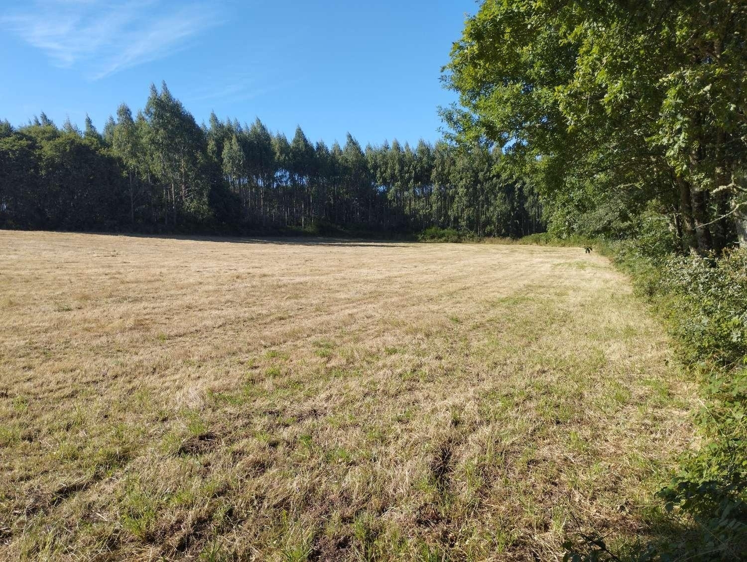  kaufen Grundstück Begonte Terra Chá 2