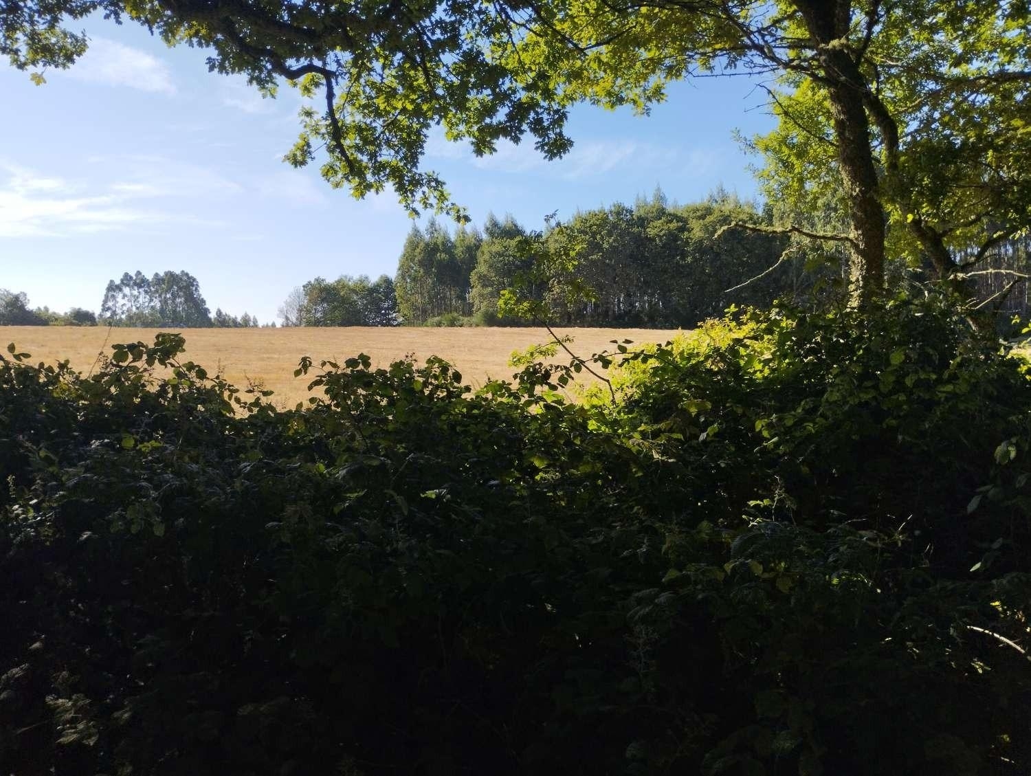  kaufen Grundstück Begonte Terra Chá 8