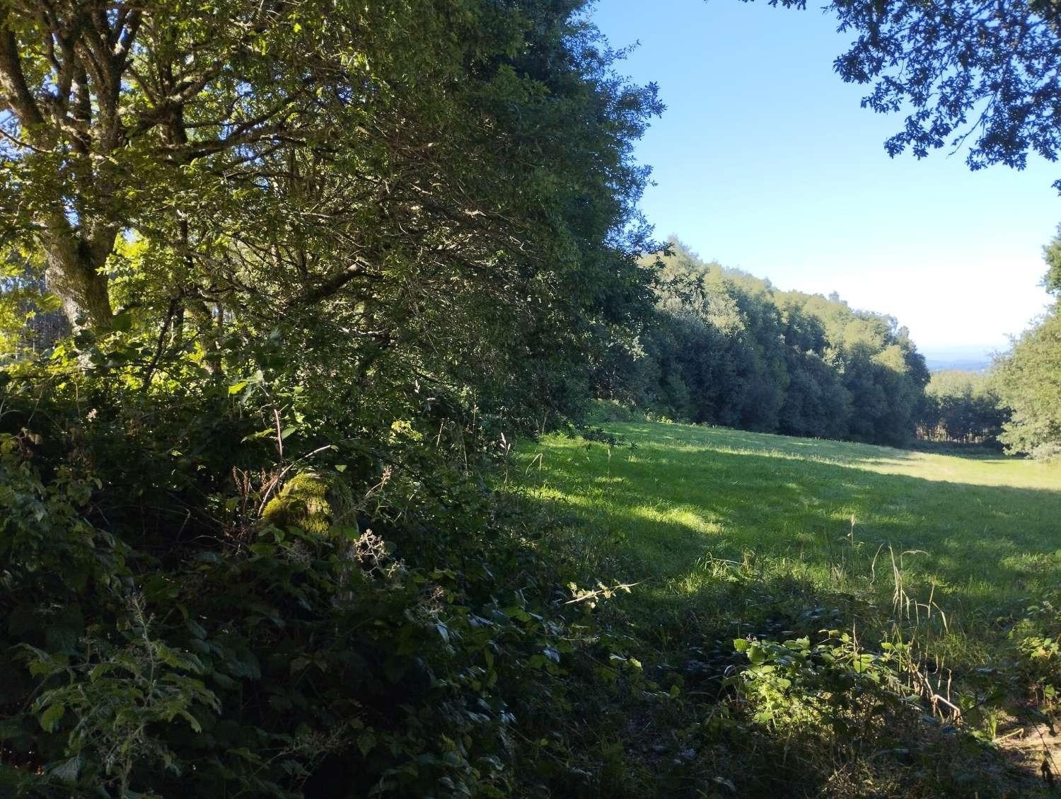  kaufen Grundstück Begonte Terra Chá 7