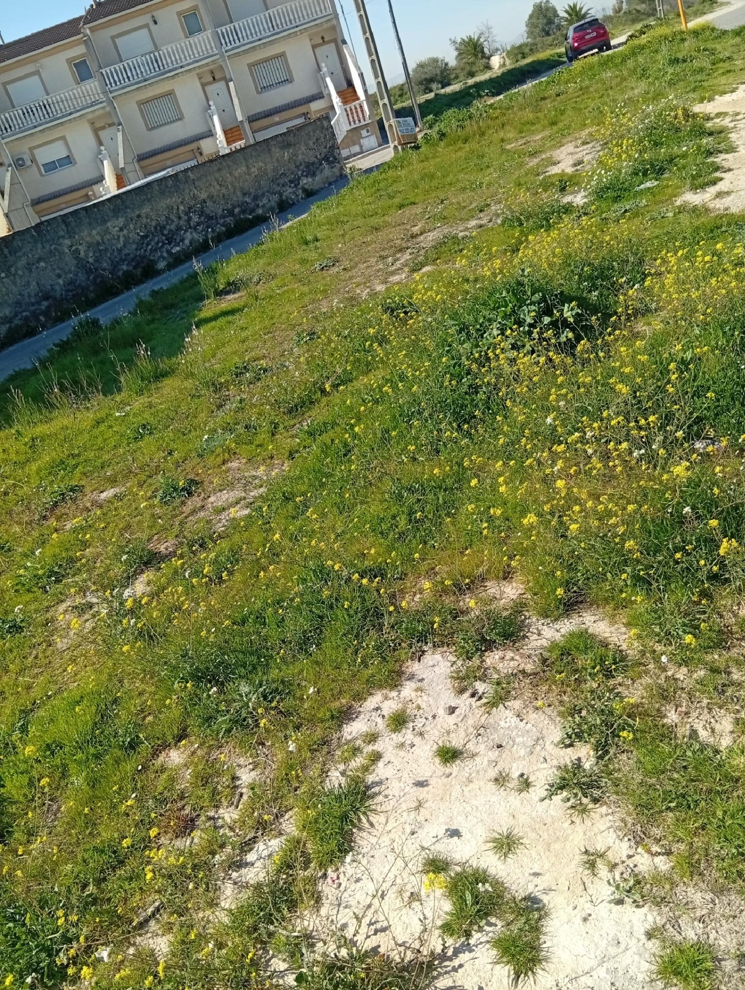  for sale plot Benigánim Vall D'albaida 4