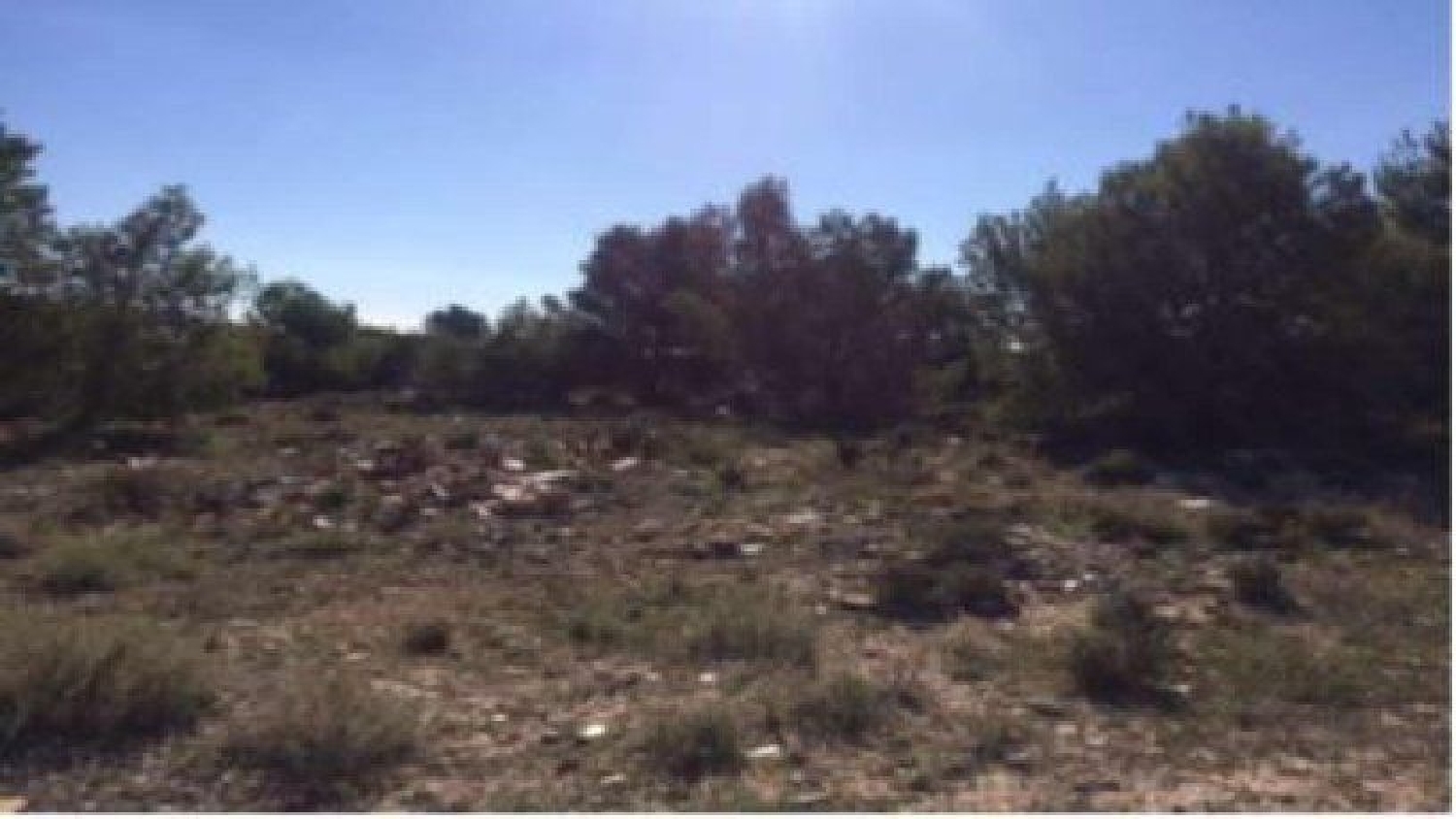 kaufen Grundstück Bétera Camp De Túria 5