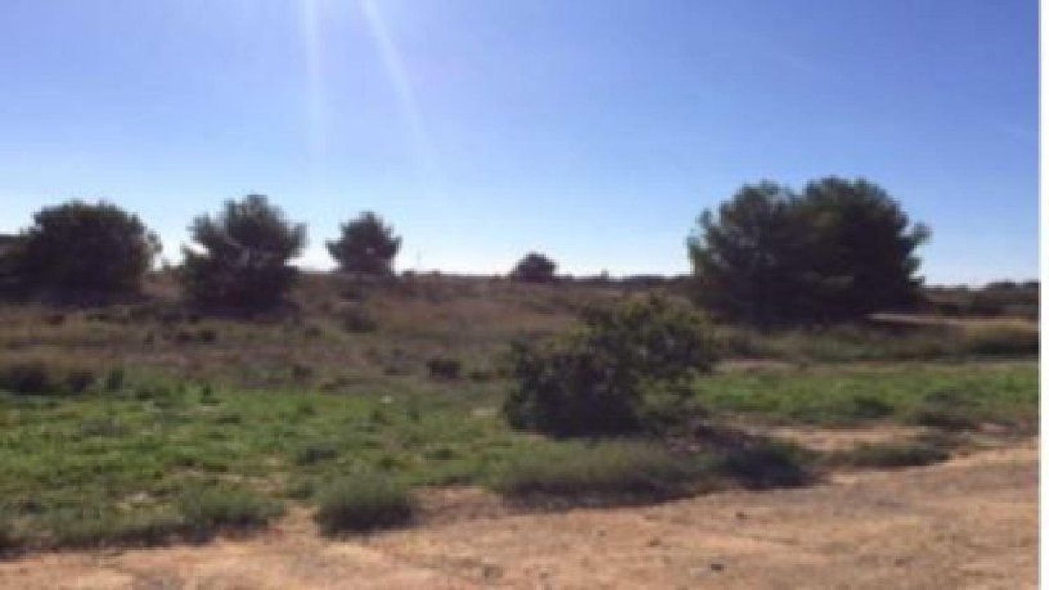 kaufen Grundstück Bétera Camp De Túria 7