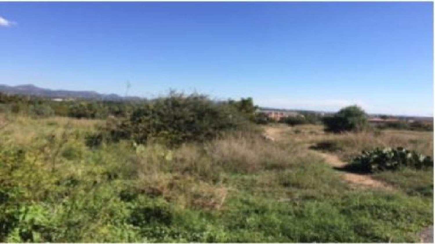 kaufen Grundstück Bétera Camp De Túria 4