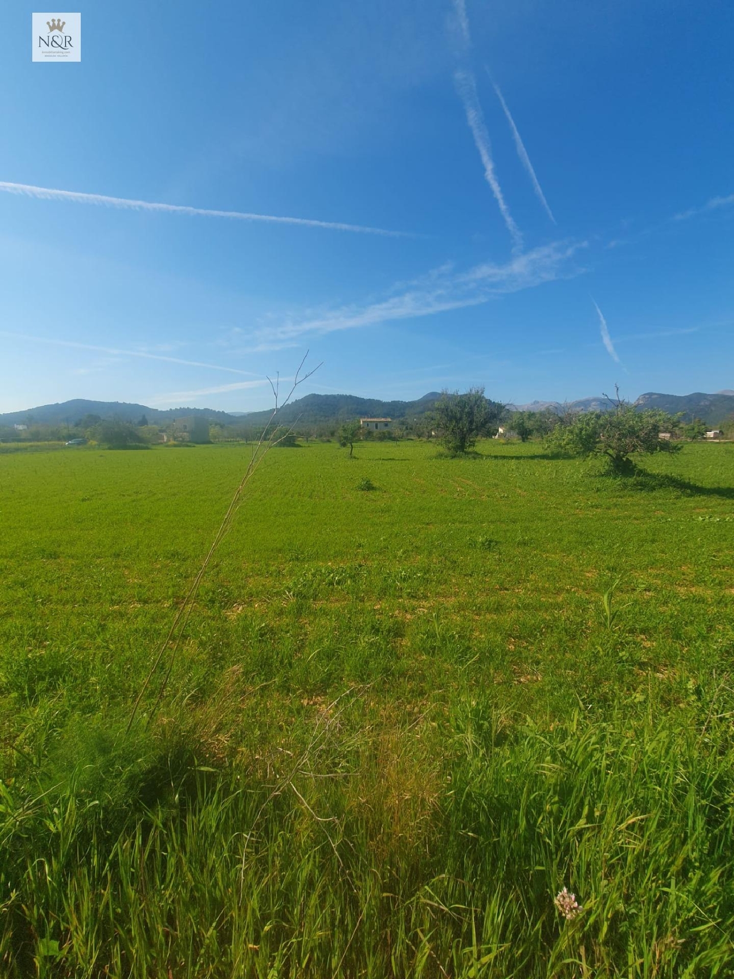  en venta terreno Binissalem Raiguer 2