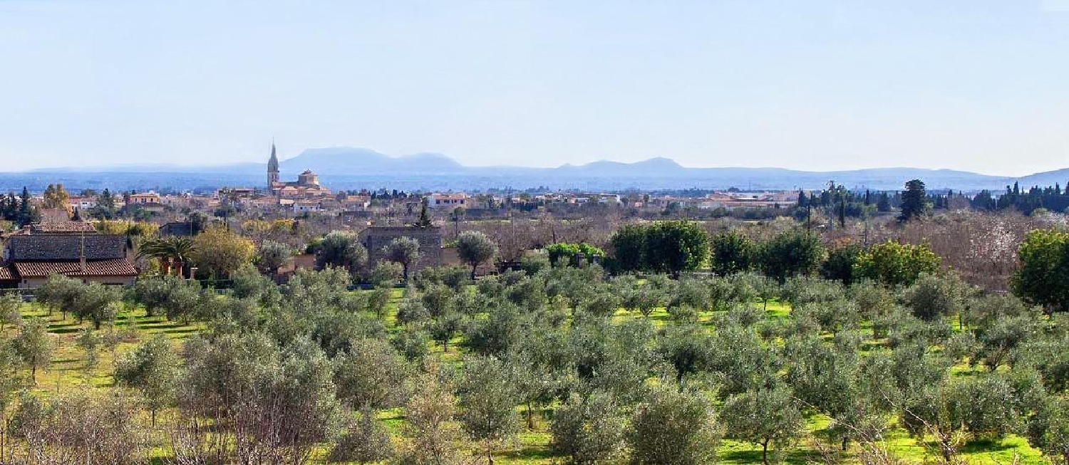  en venta terreno Binissalem Raiguer 7