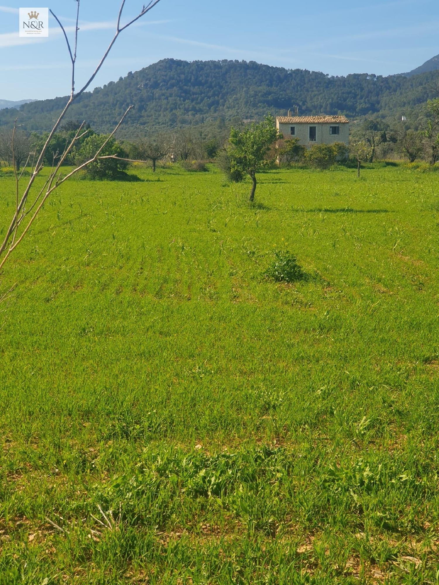  en venta terreno Binissalem Raiguer 3