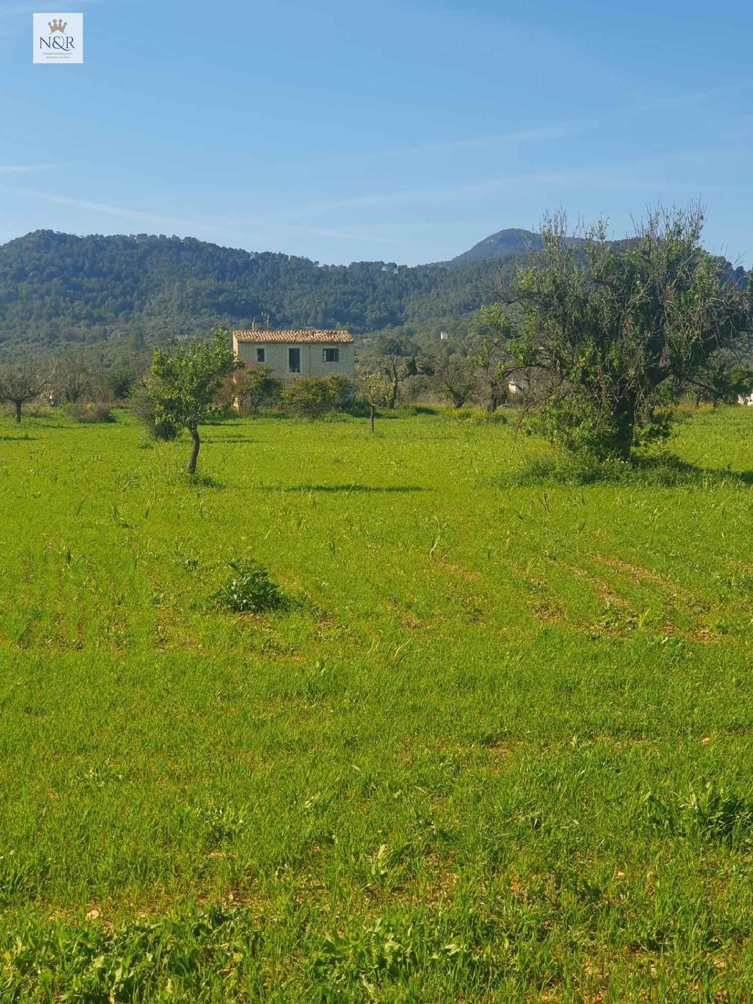  en venta terreno Binissalem Raiguer 1