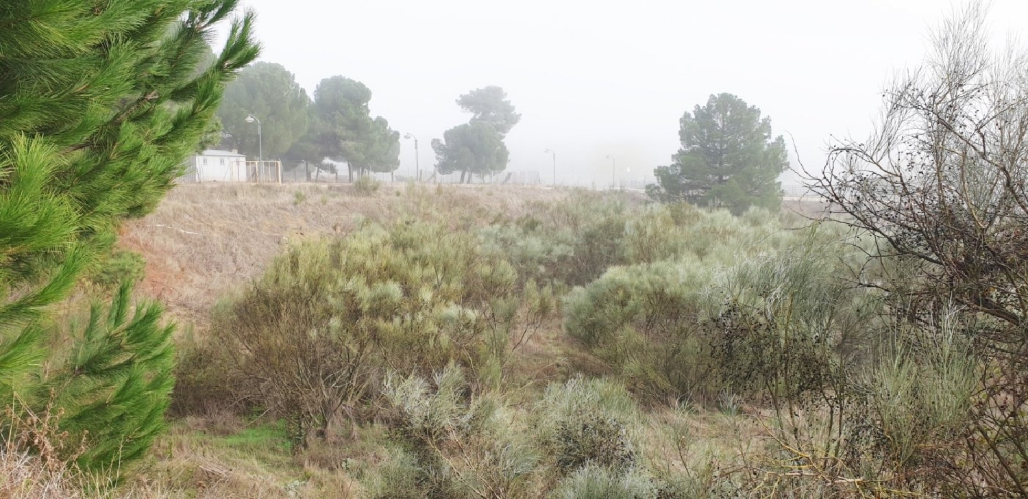  en venta terreno Boecillo Tierra De Pinares 8