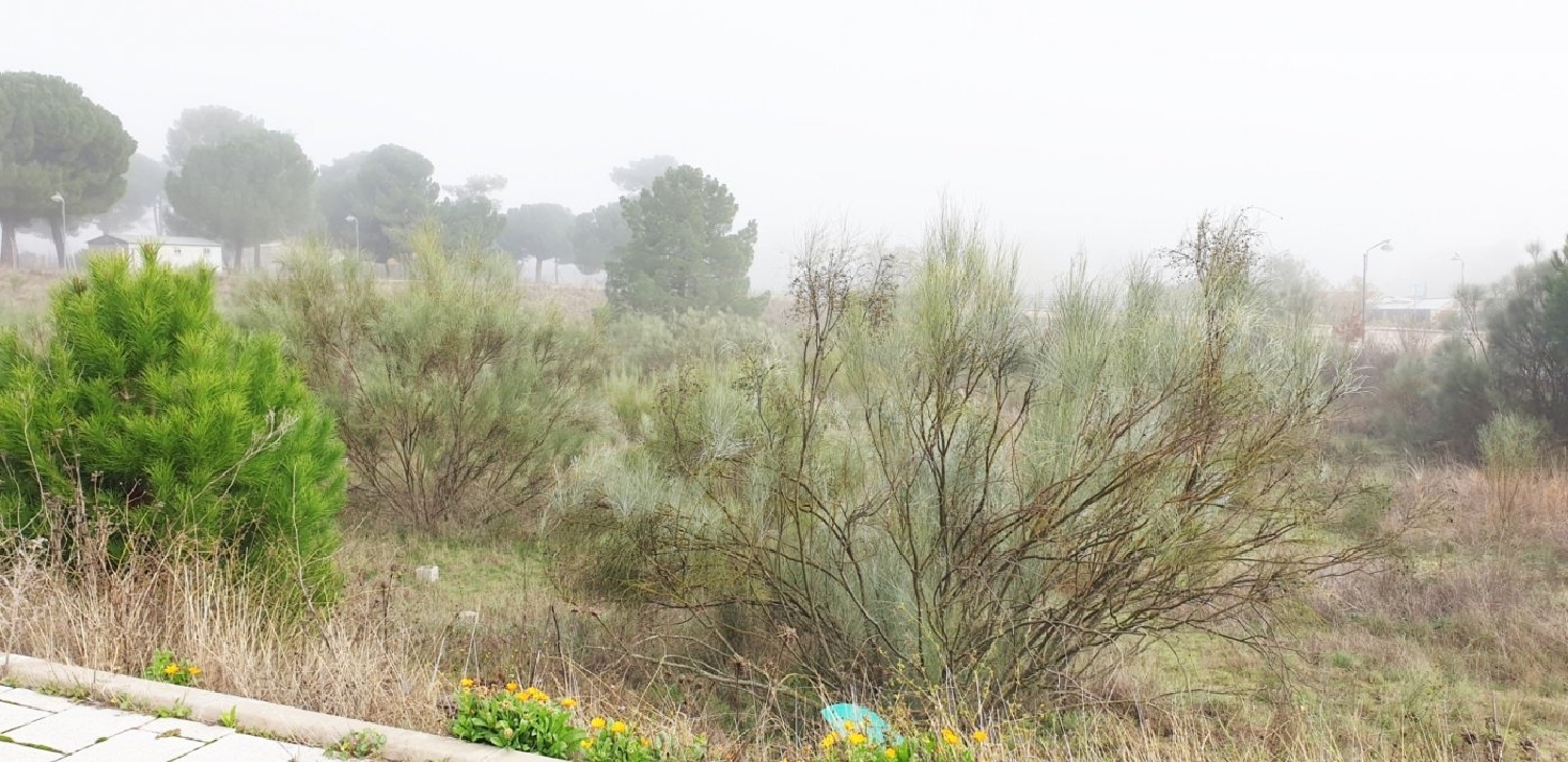  en venta terreno Boecillo Tierra De Pinares 4