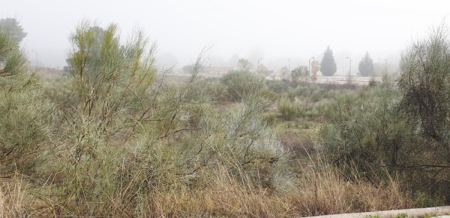  en venta terreno Boecillo Tierra De Pinares 7