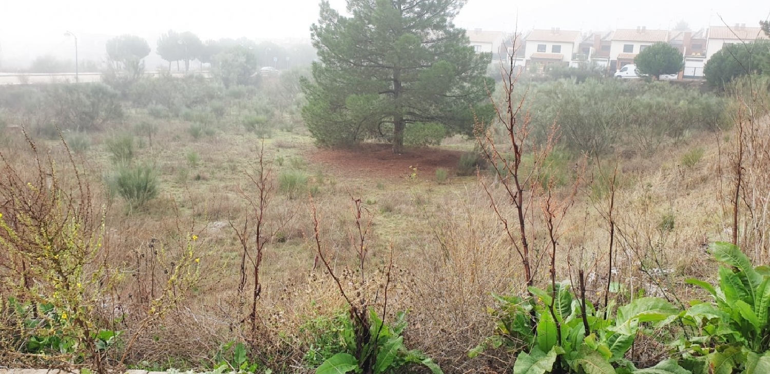  en venta terreno Boecillo Tierra De Pinares 1