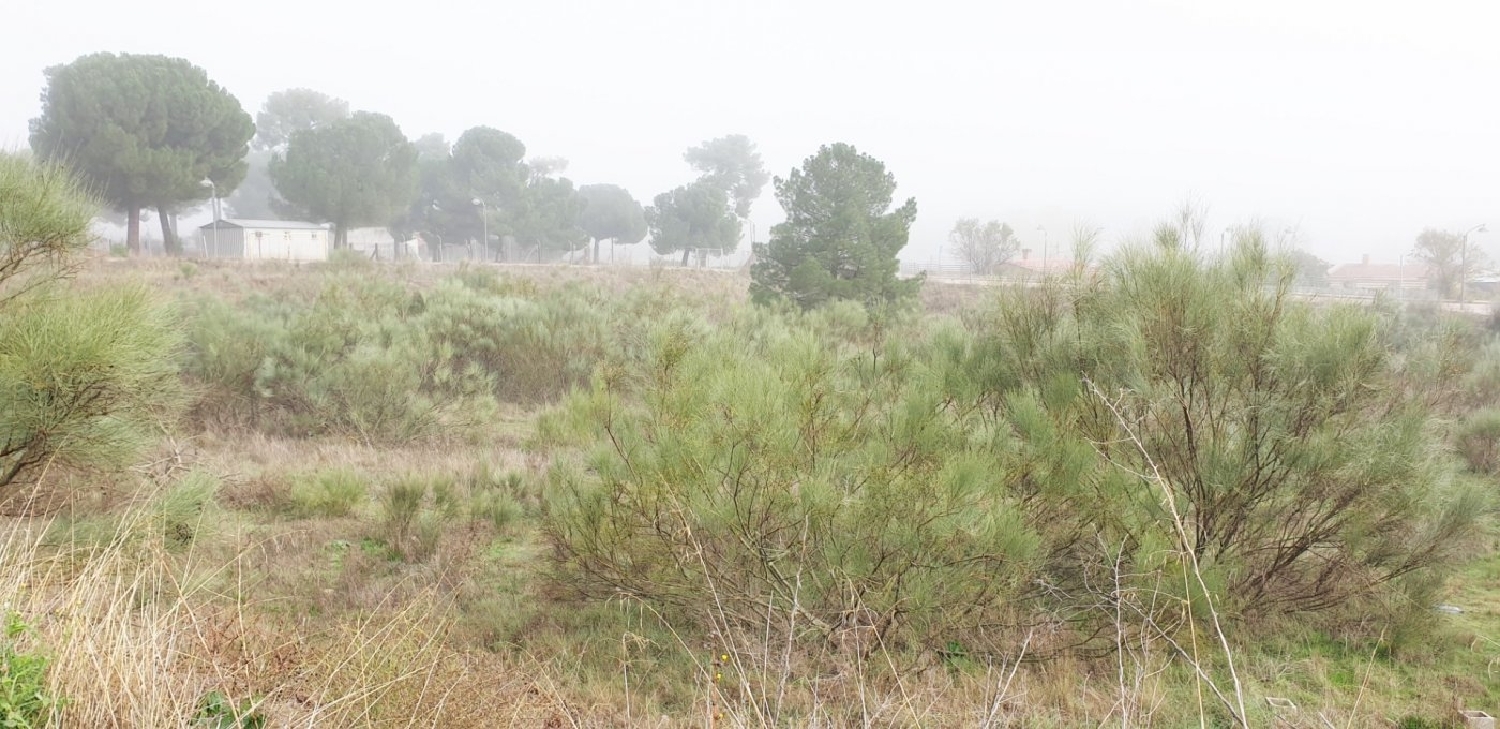  en venta terreno Boecillo Tierra De Pinares 5