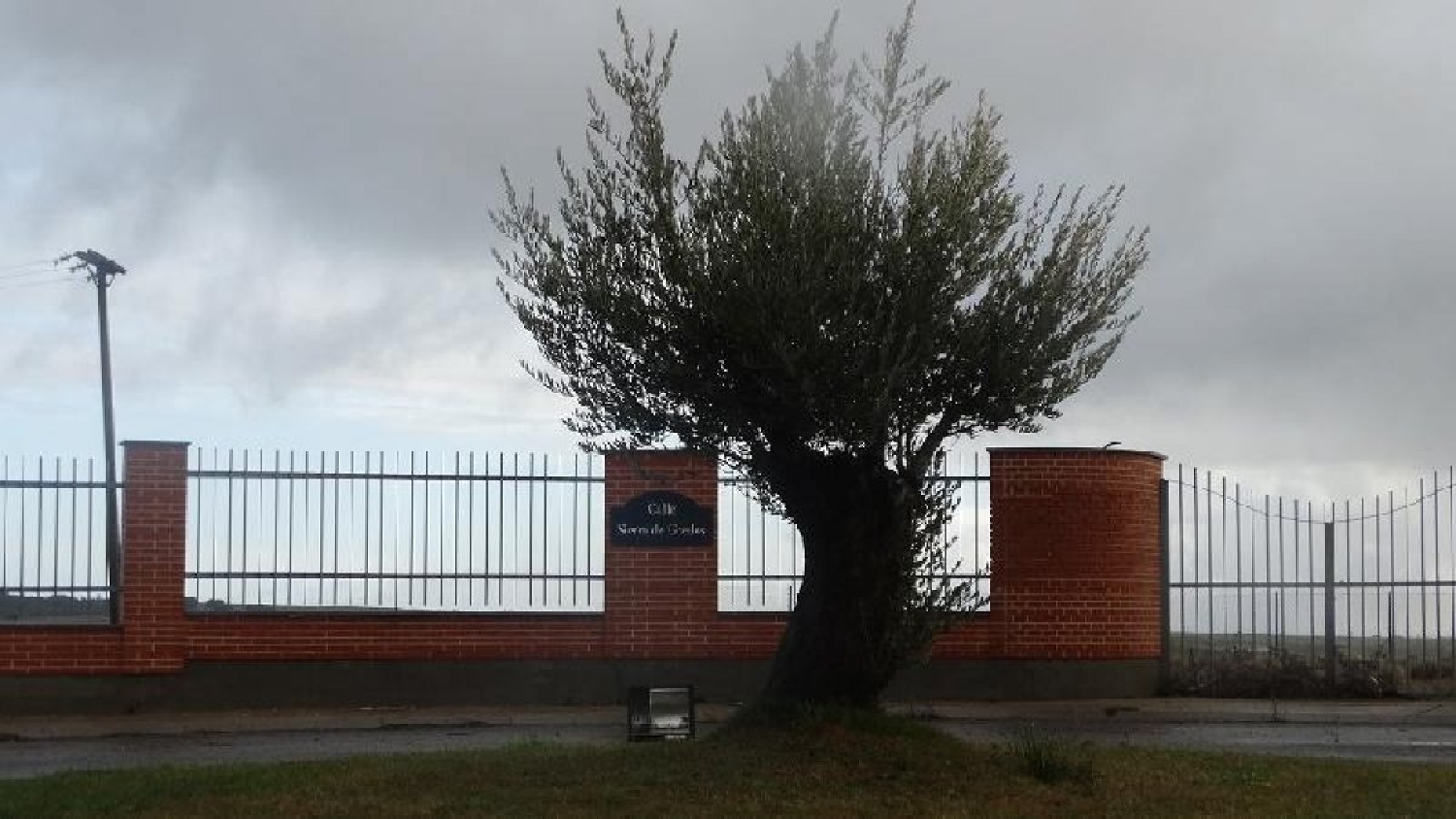  till salu tomt Buenavista Tierra De Alba 3