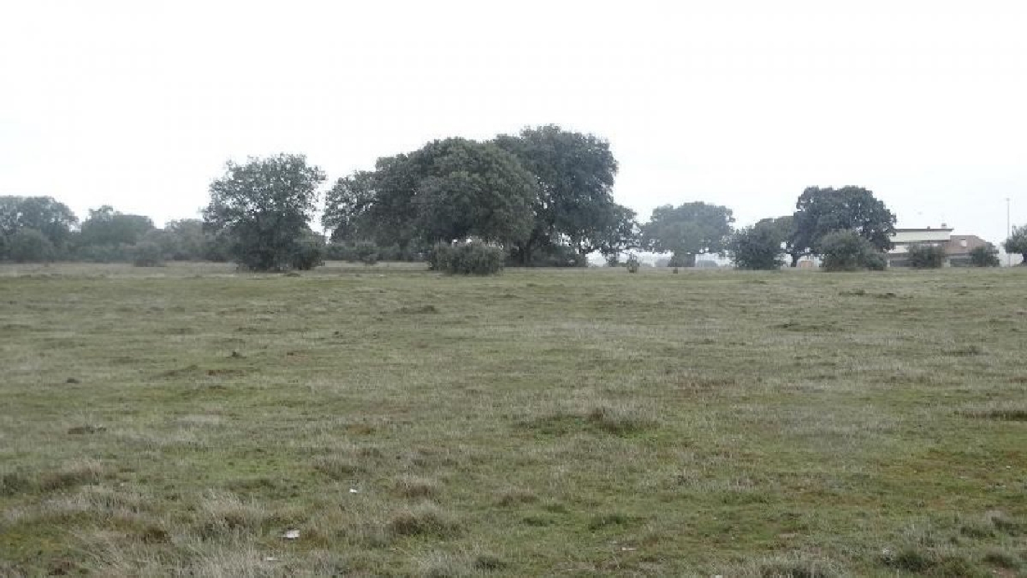  till salu tomt Buenavista Tierra De Alba 2