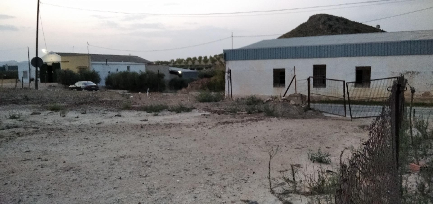  till salu tomt Calasparra Noroeste 7