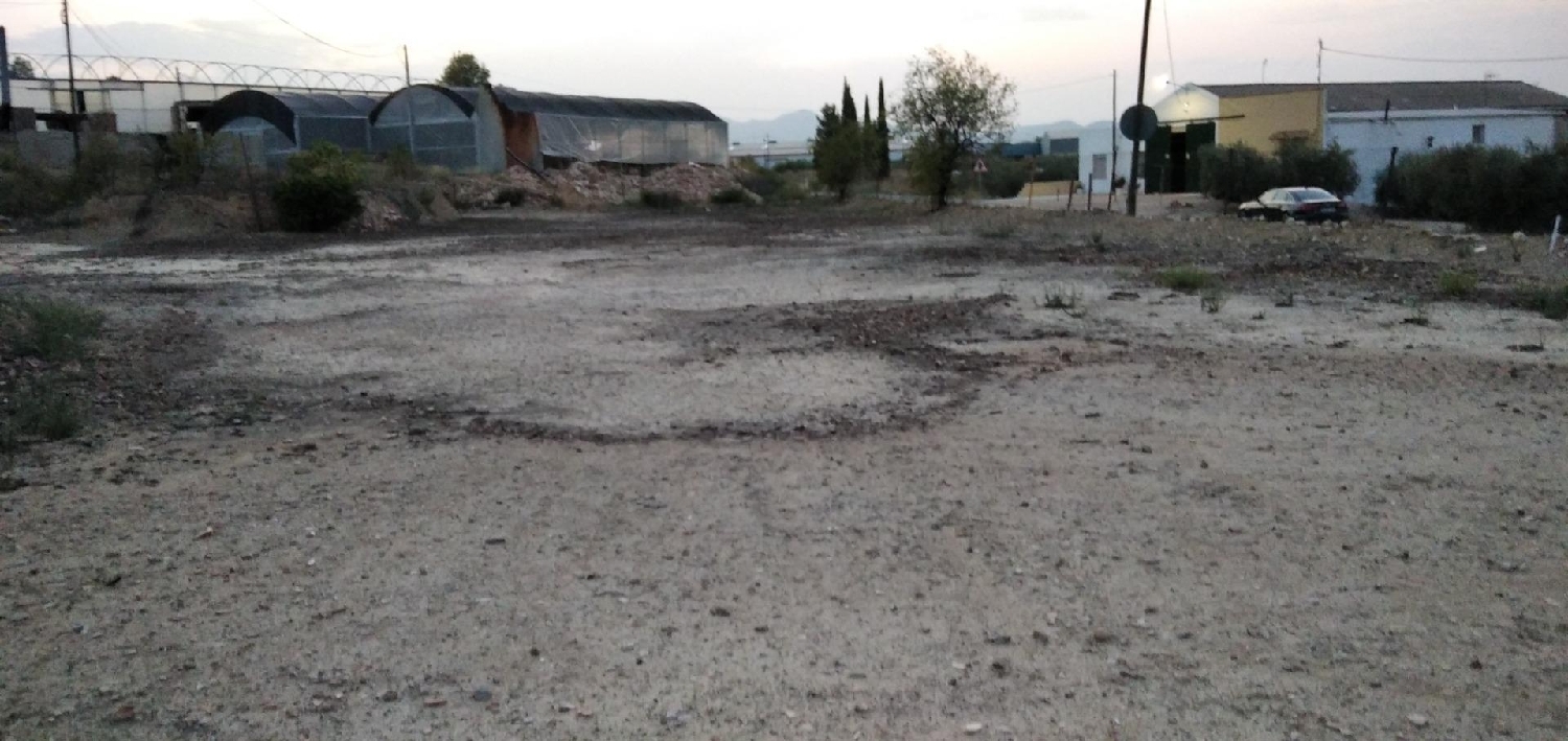  till salu tomt Calasparra Noroeste 1