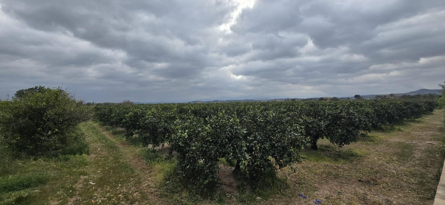  for sale plot Camp De Lliria Camp De Túria 5