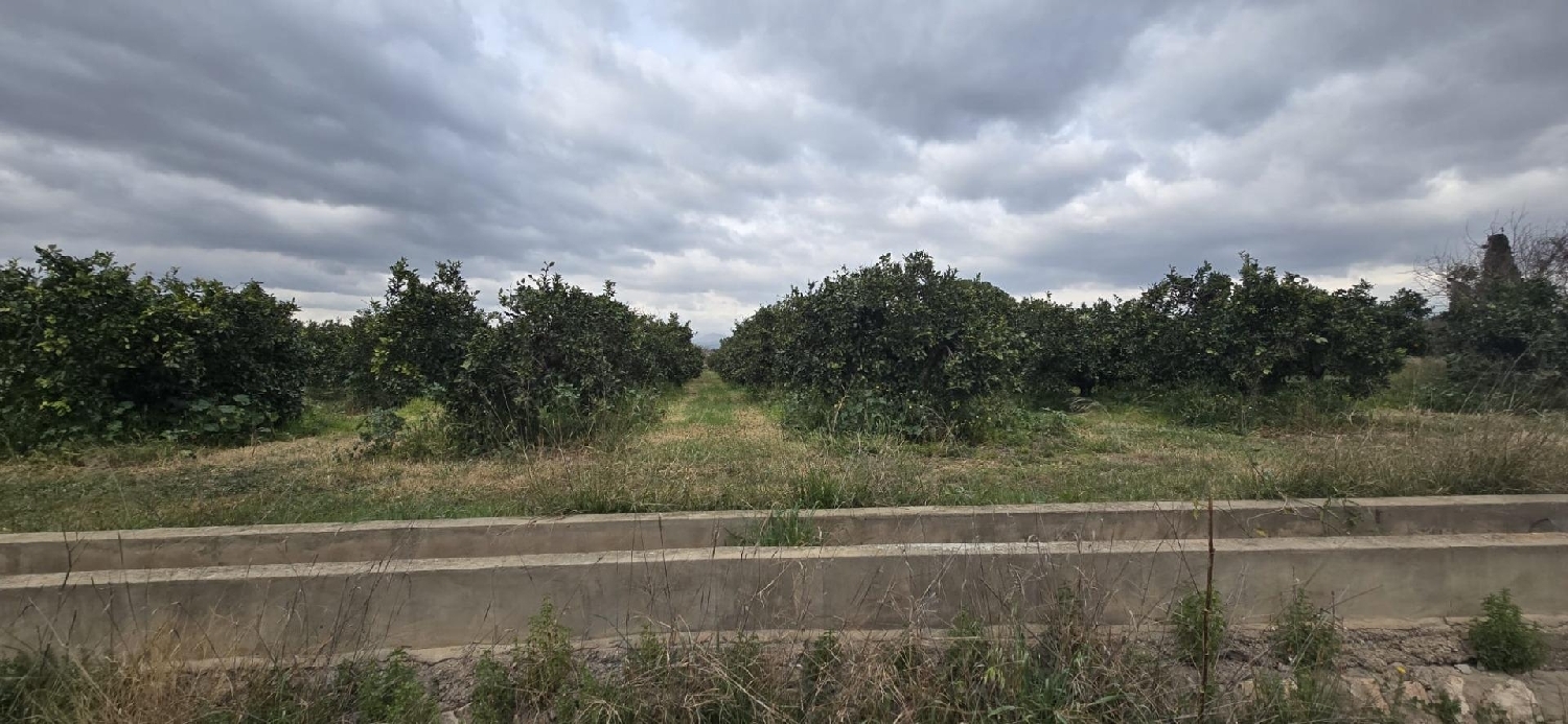  for sale plot Camp De Lliria Camp De Túria 3