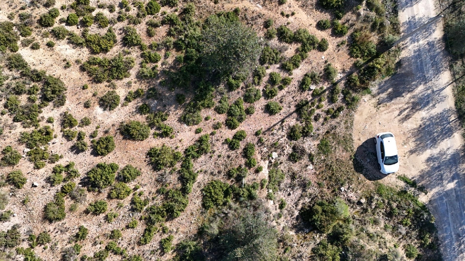  till salu tomt Camp De Lliria Camp De Túria 2