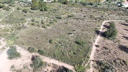 Camp De Lliria Camp De Túria tomt foto 6364485