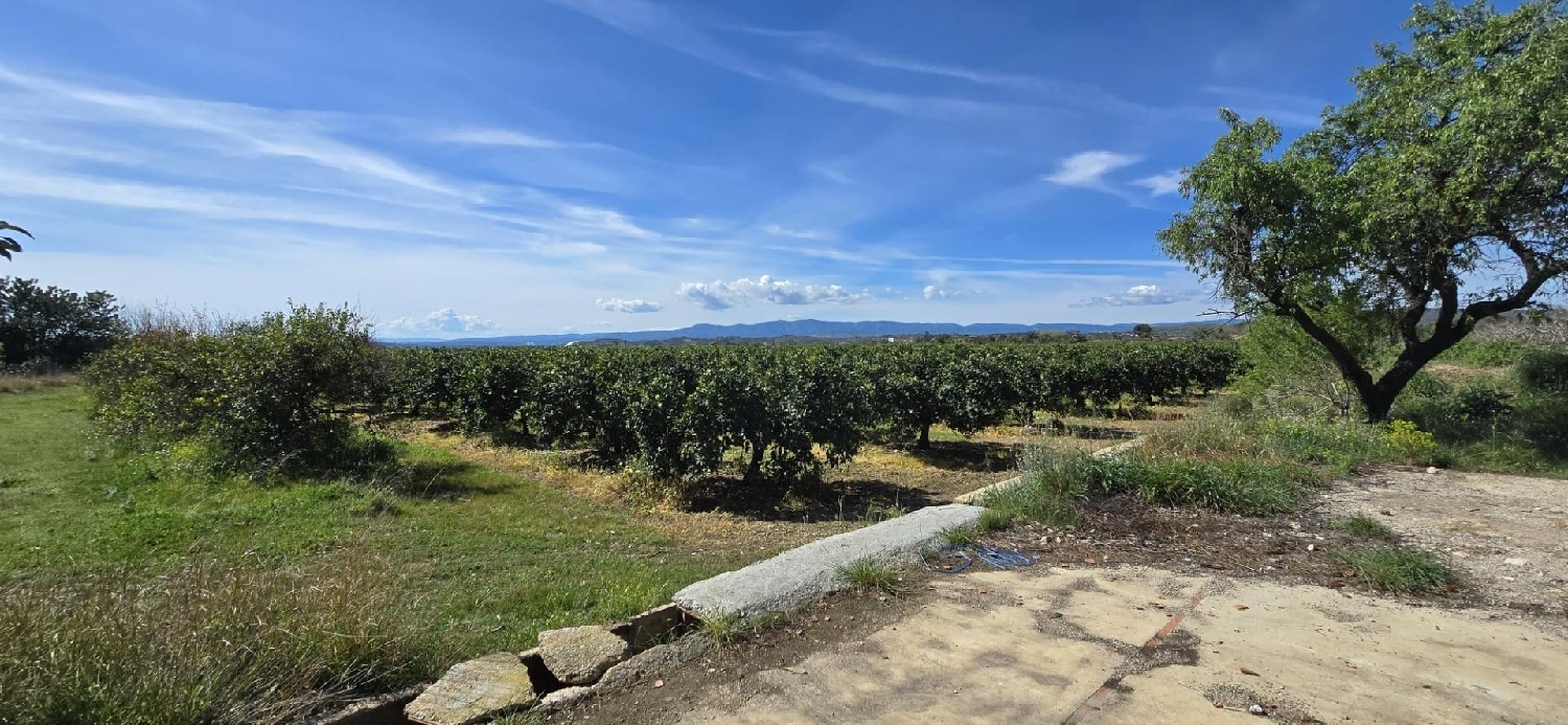  en venta terreno Camp De Lliria Camp De Túria 4