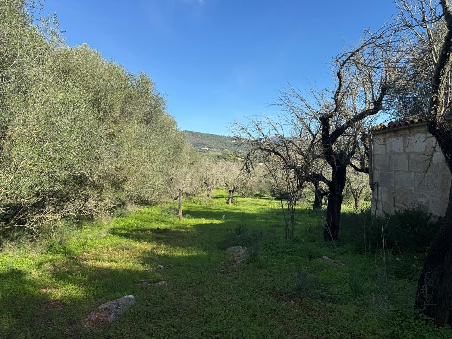  kaufen Grundstück Campanet Raiguer 2