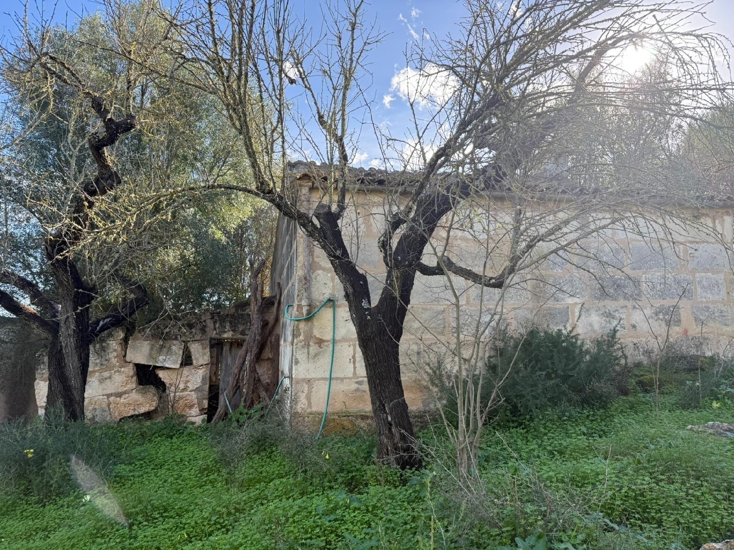  kaufen Grundstück Campanet Raiguer 7