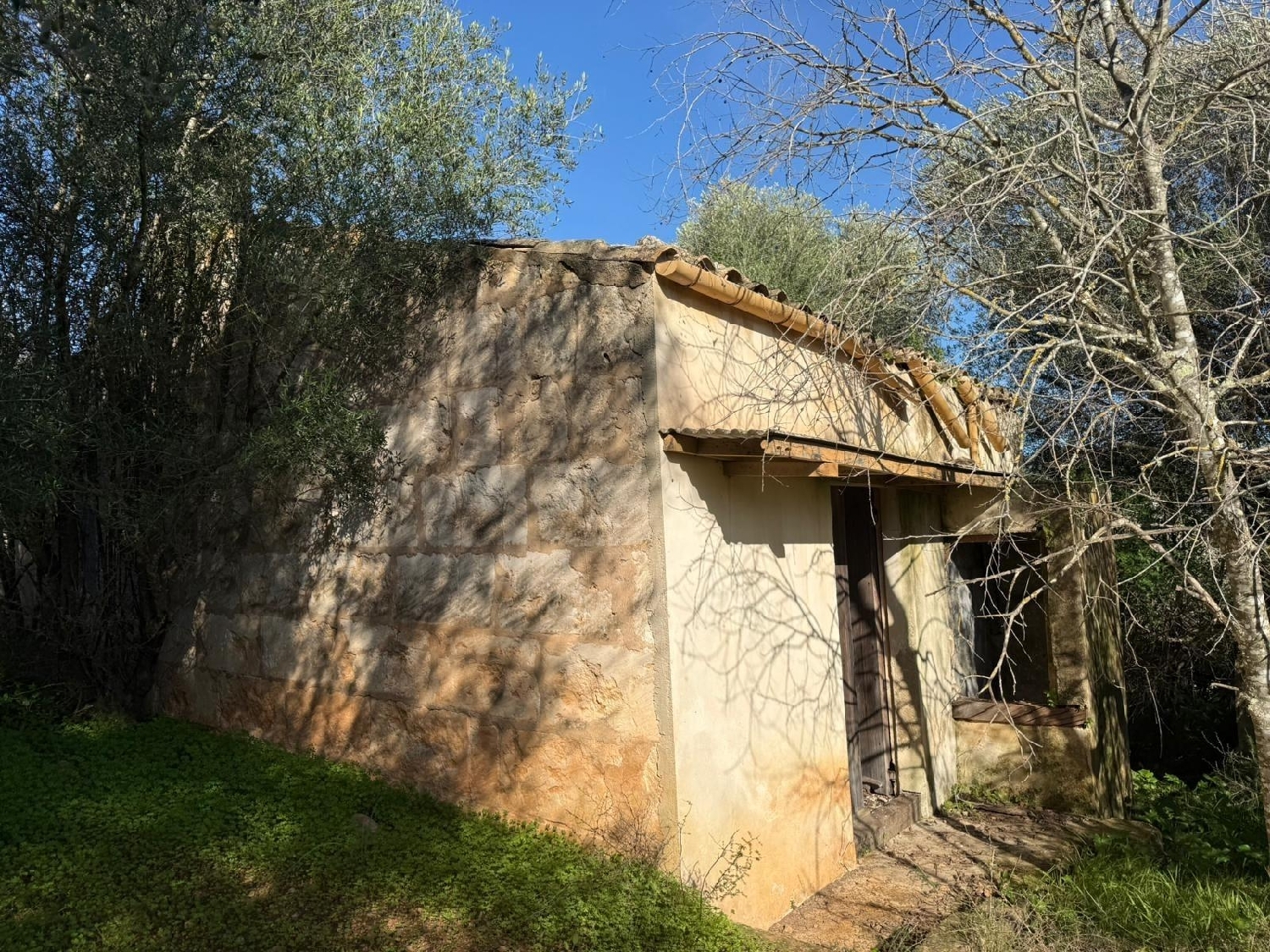  kaufen Grundstück Campanet Raiguer 8