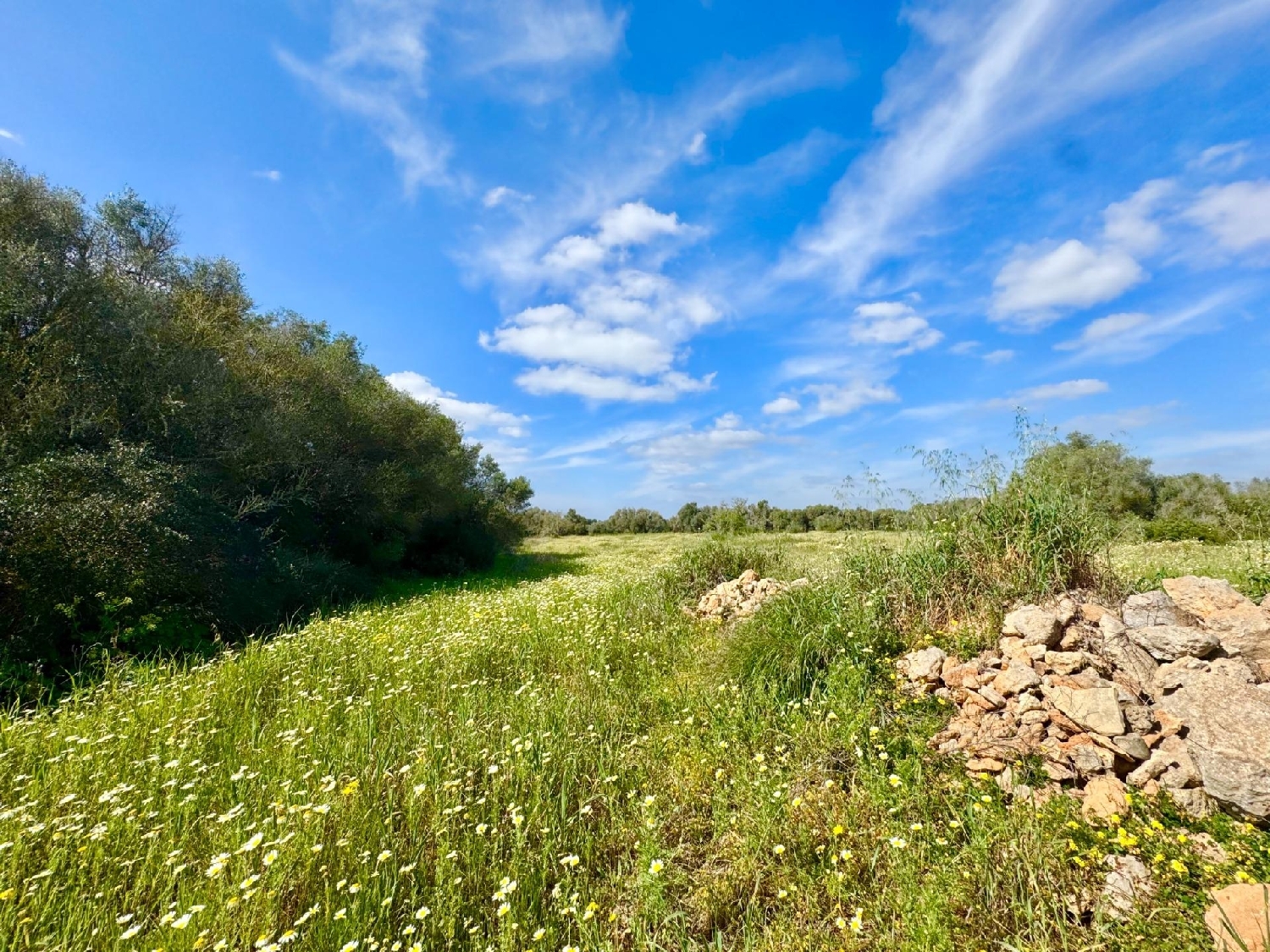  for sale plot Campos Sud 6