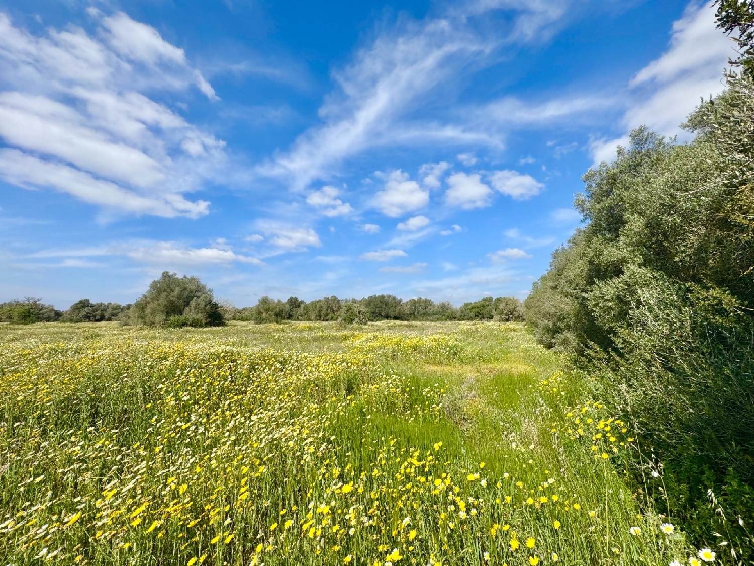  for sale plot Campos Sud 4