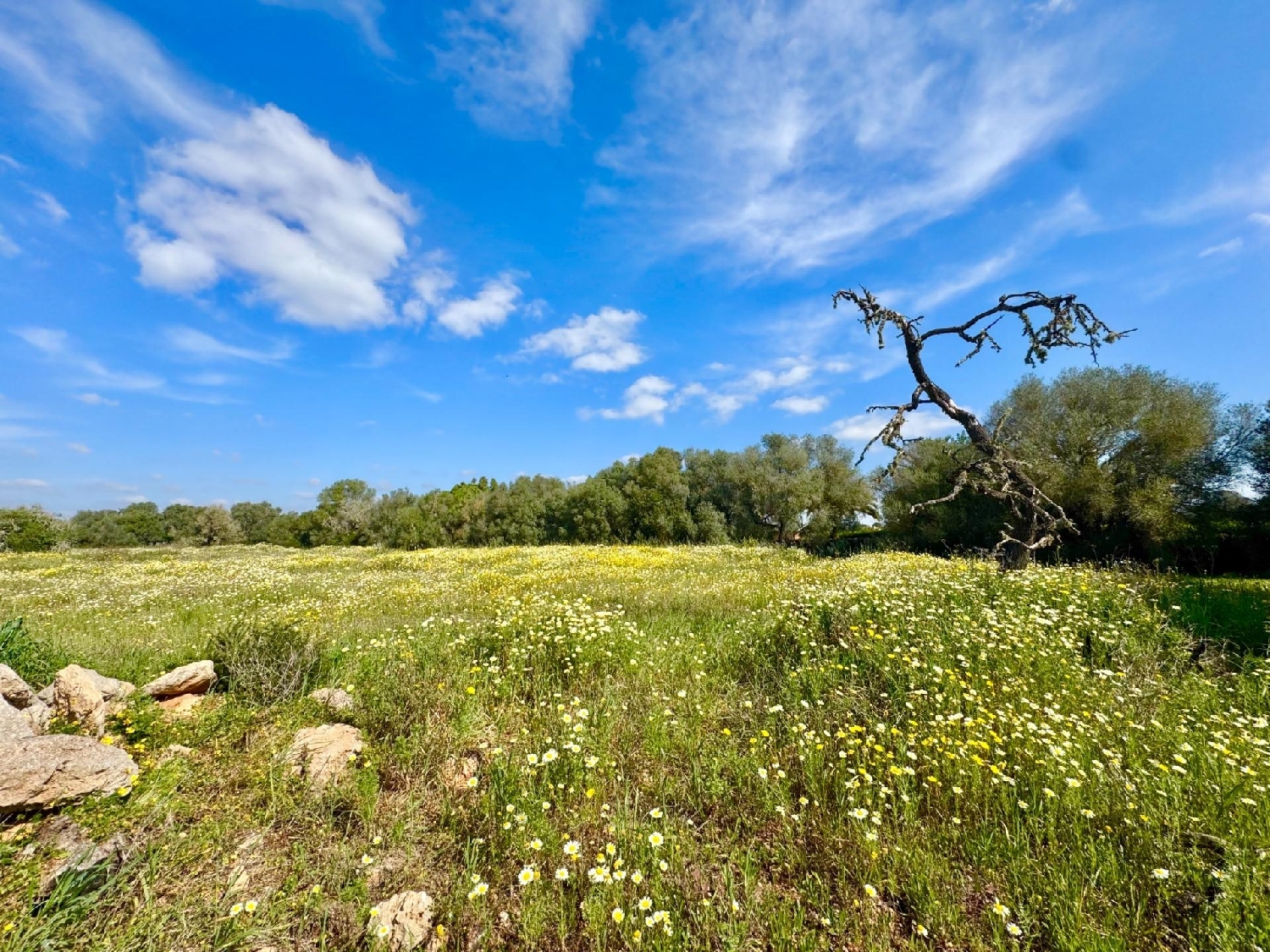  for sale plot Campos Sud 8