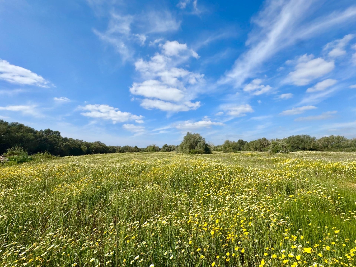  for sale plot Campos Sud 3