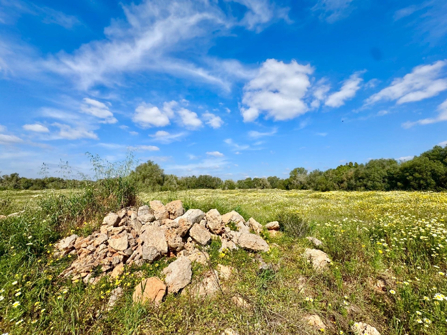  for sale plot Campos Sud 7