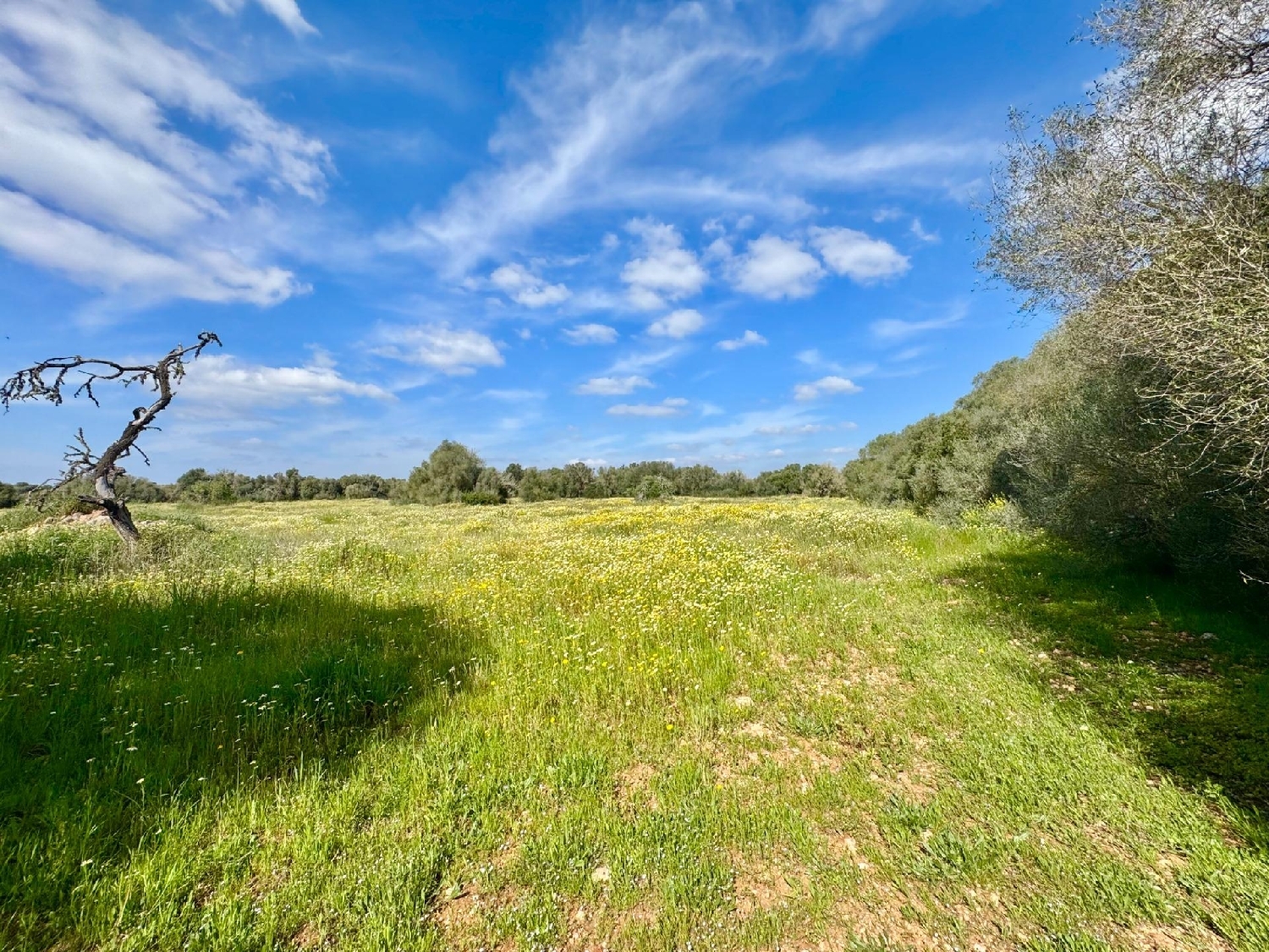  for sale plot Campos Sud 2