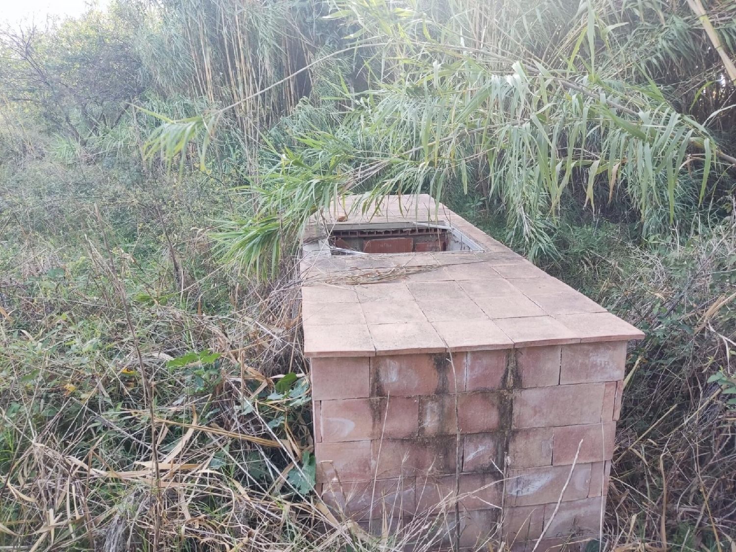  till salu tomt Can Sunyer Del Palau Baix Llobregat 4