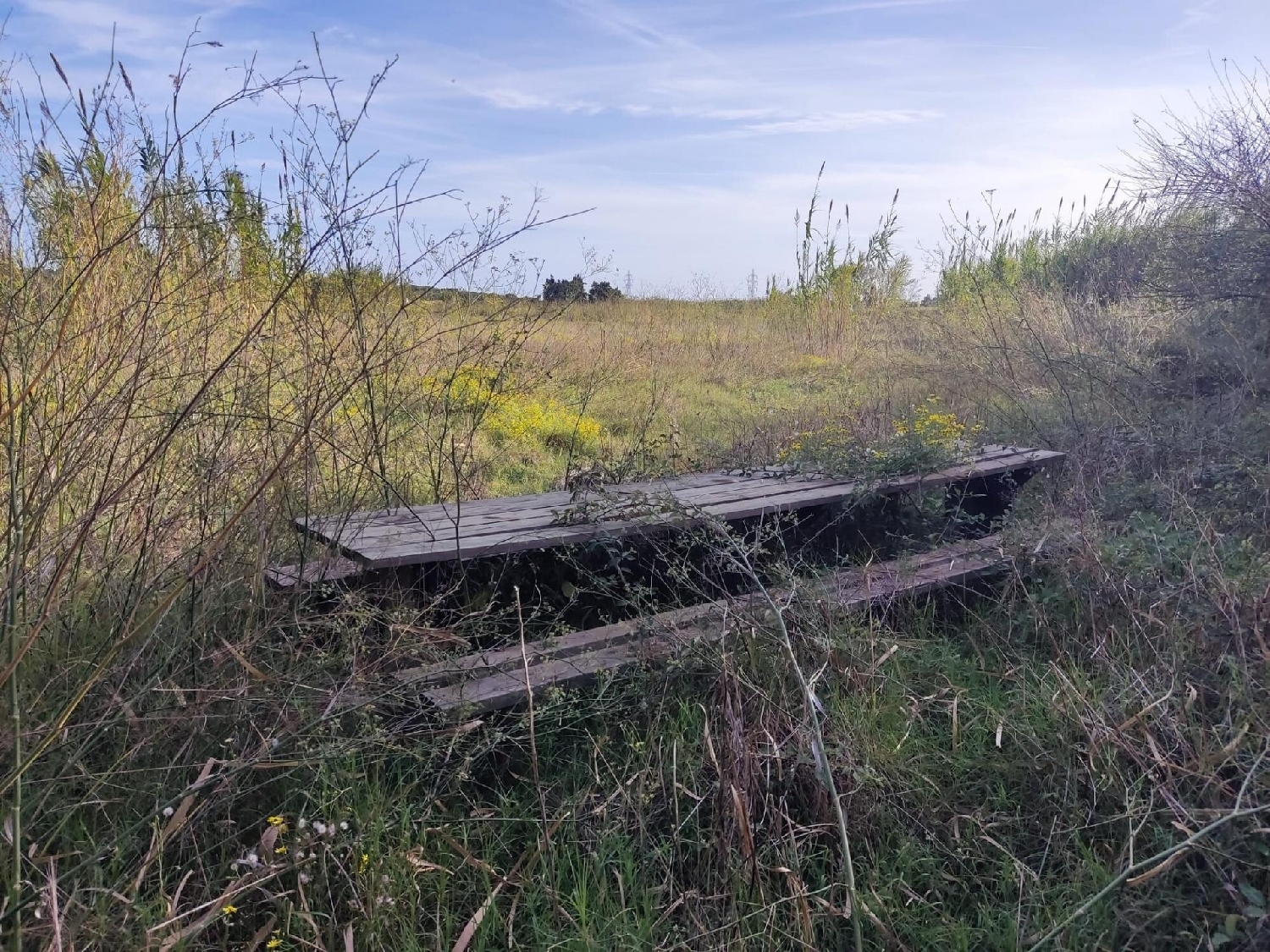  till salu tomt Can Sunyer Del Palau Baix Llobregat 5