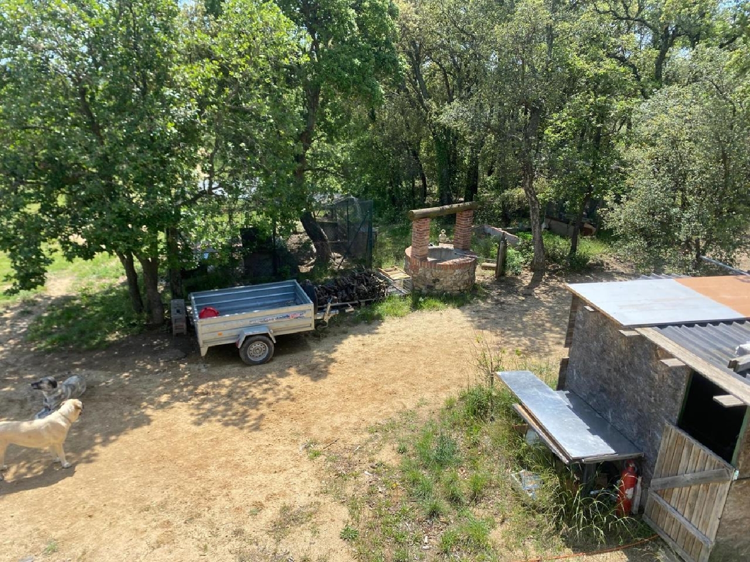  à vendre terrain Capmany Alt Empordà 11