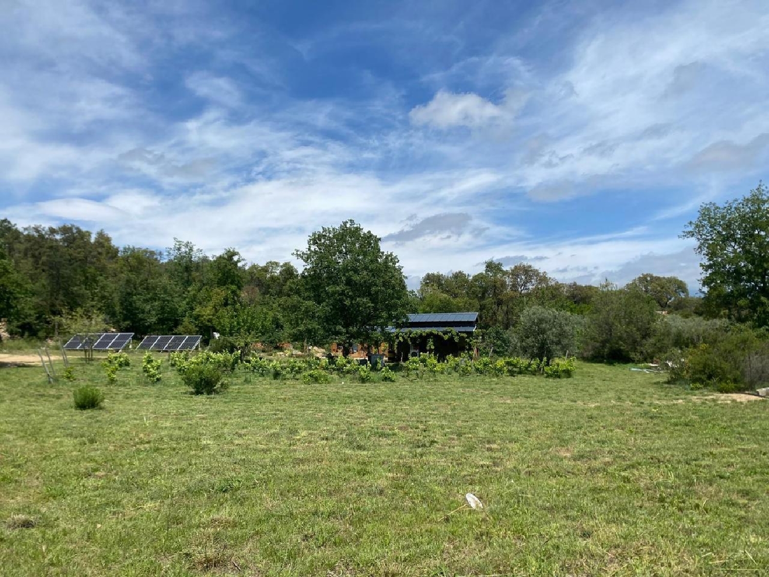  à vendre terrain Capmany Alt Empordà 14