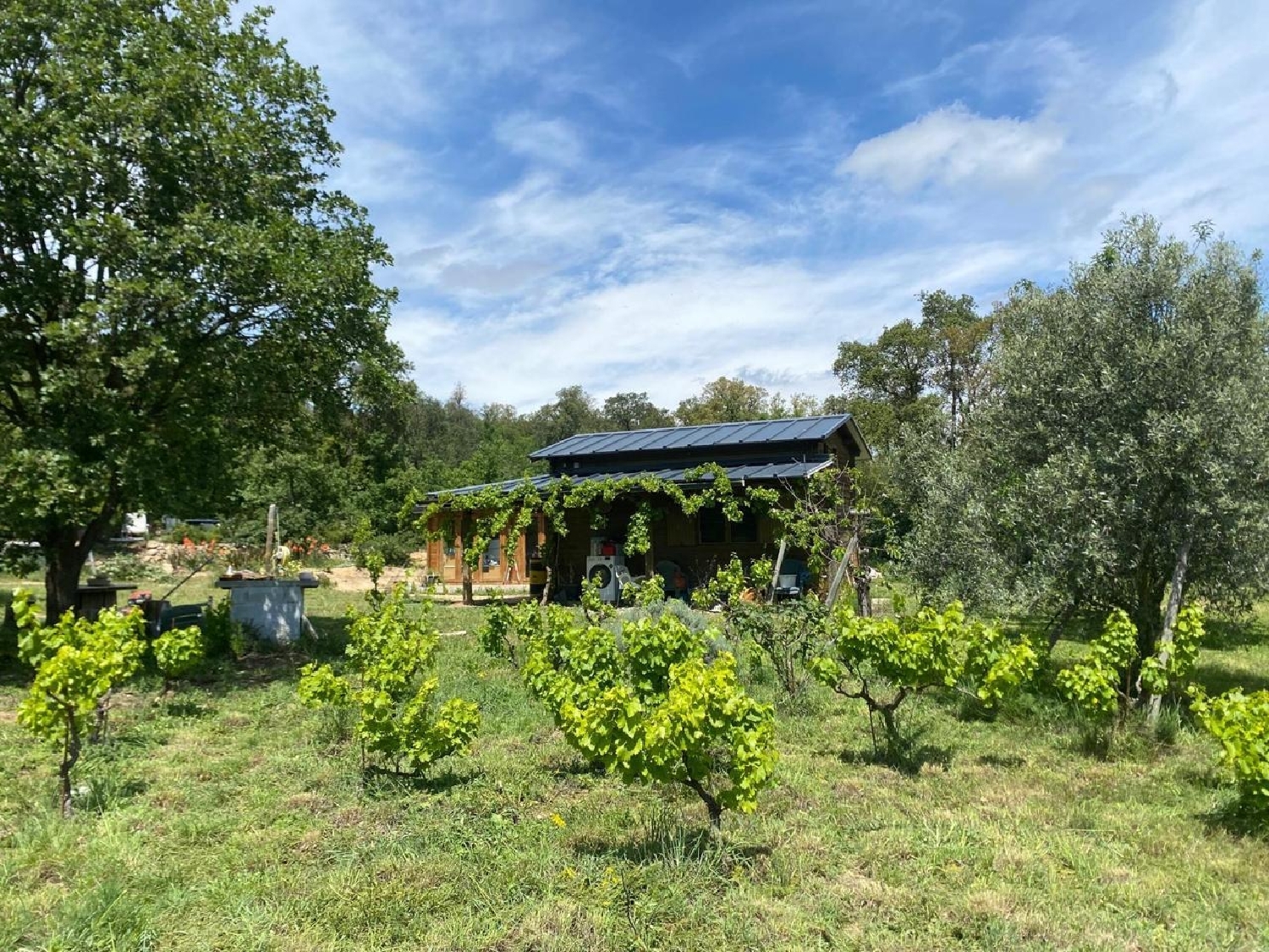  à vendre terrain Capmany Alt Empordà 16