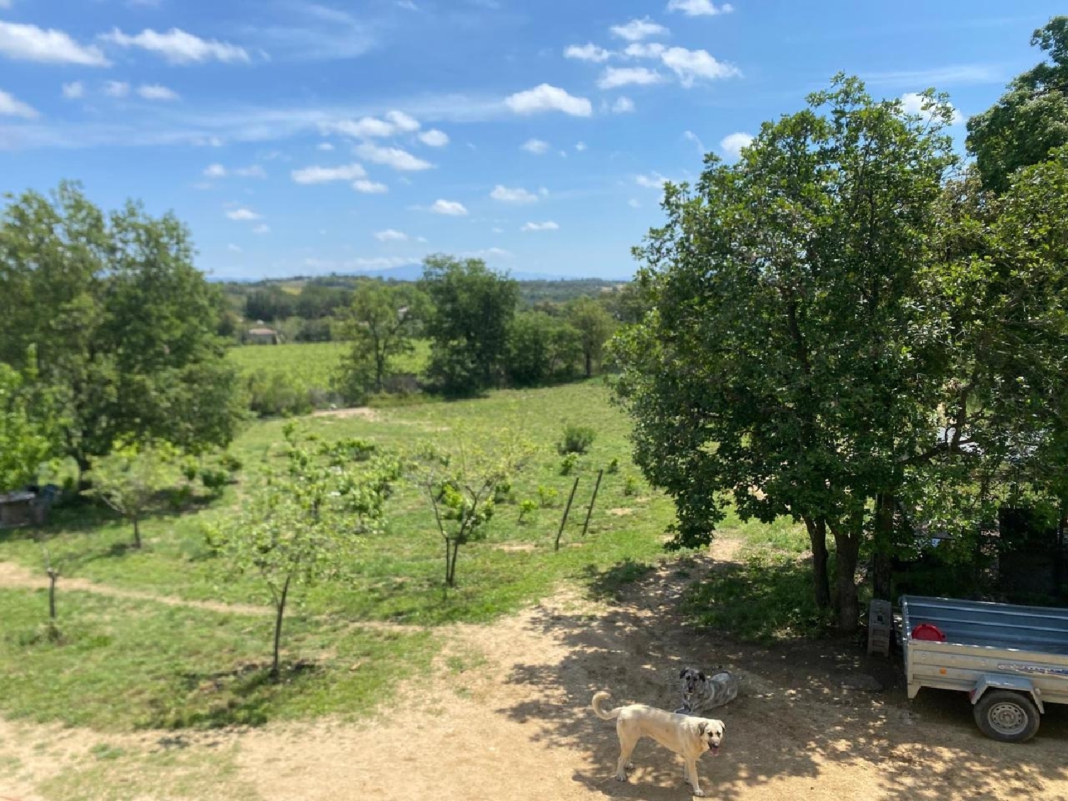  à vendre terrain Capmany Alt Empordà 8